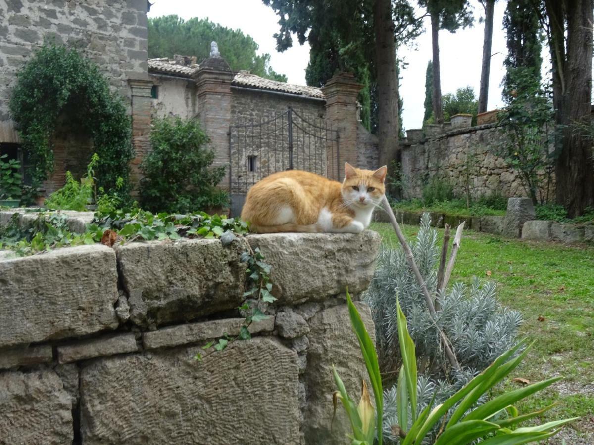 Appartamenti Lais In Sipicciano Dış mekan fotoğraf