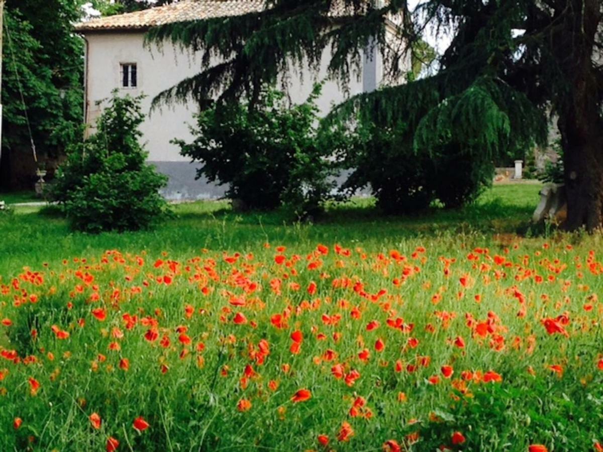 Appartamenti Lais In Sipicciano Dış mekan fotoğraf